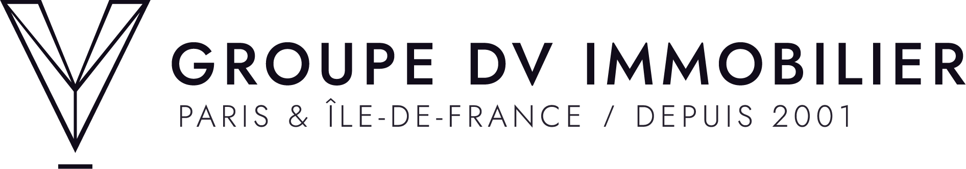 DV Immobilier